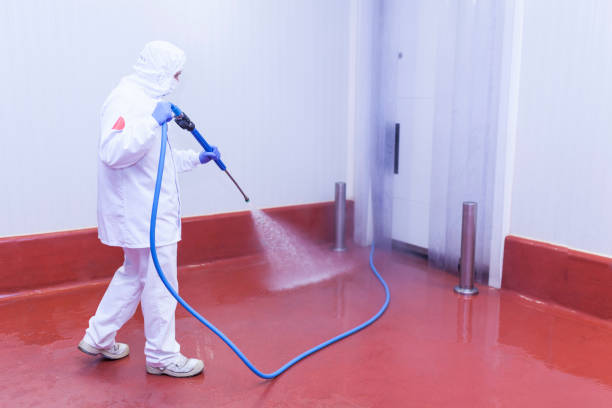Professional Pressure Washing Services in Bargaintown, NJ